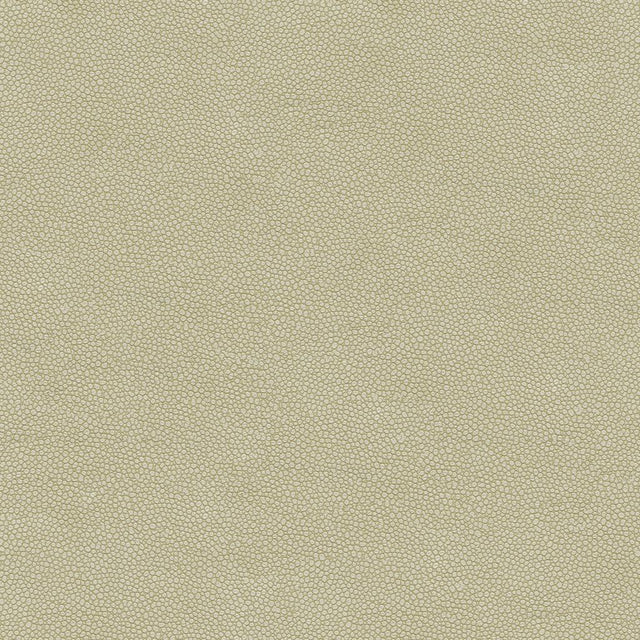 Kravet DESIGN PIETRA 1111 Upholstery Fabric
