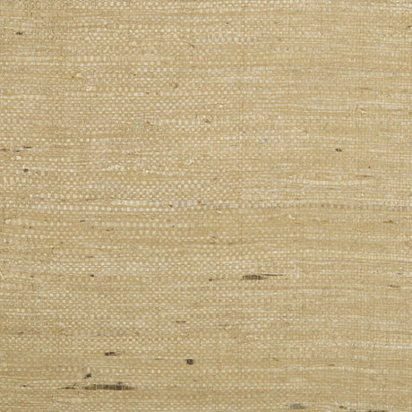 Brunschwig & Fils KOCHI TAN Wallpaper