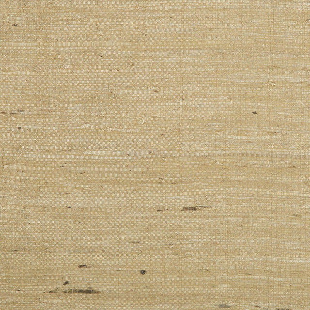 Brunschwig & Fils KOCHI TAN Wallpaper