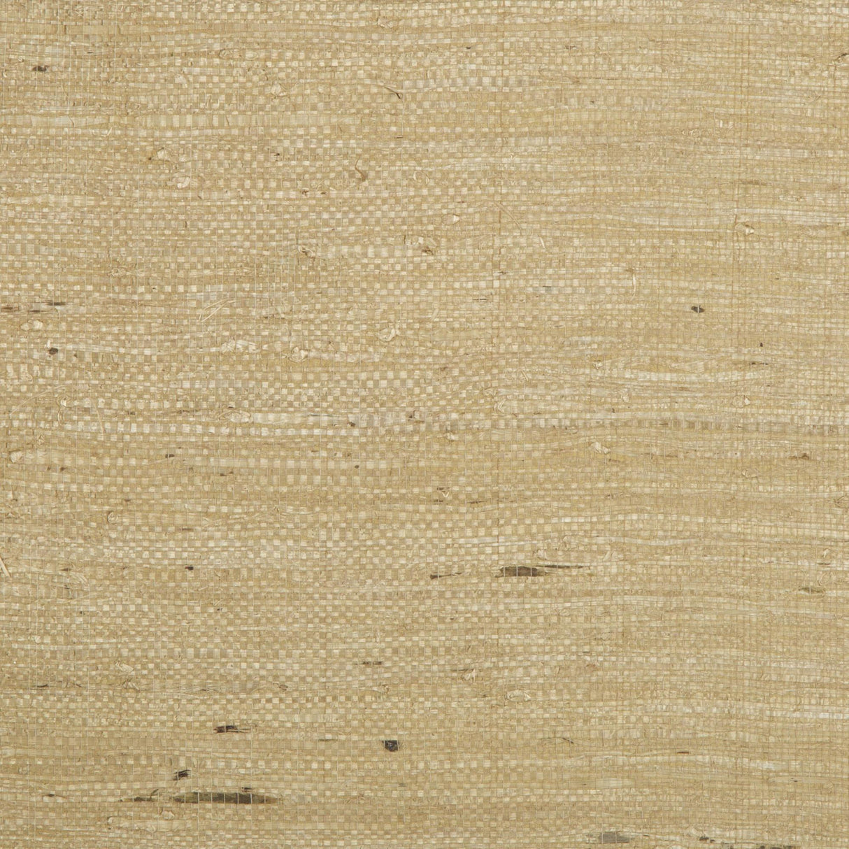 Brunschwig & Fils KOCHI TAN Wallpaper