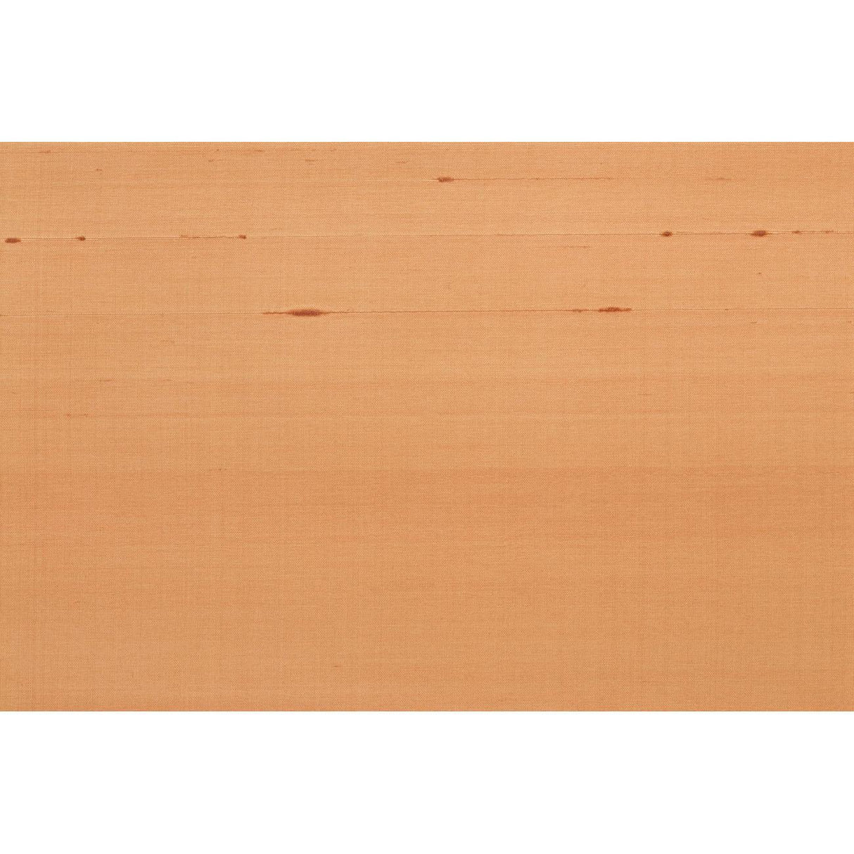 Brunschwig & Fils SEIJUN SHELL Wallpaper