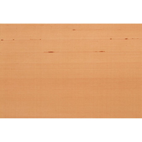 Brunschwig & Fils SEIJUN SHELL Wallpaper