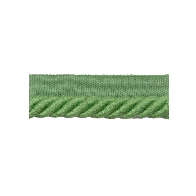 Brunschwig & Fils COEUR CABLE-L SPRING Trim