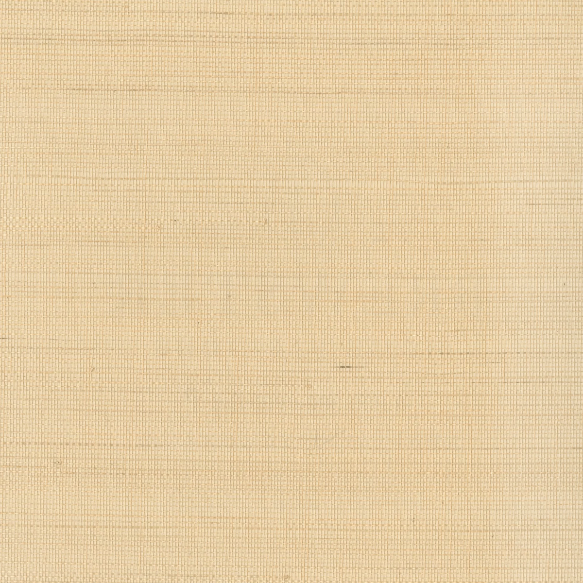 Kravet DESIGN W3291 16 Wallpaper