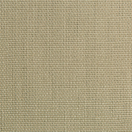 Kravet Temana Reed Fabric