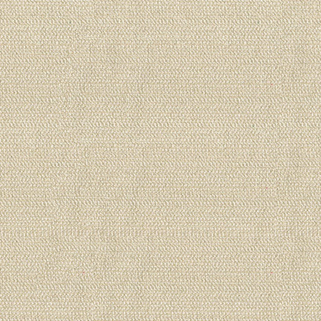 Kravet TULLY LINEN Upholstery Fabric