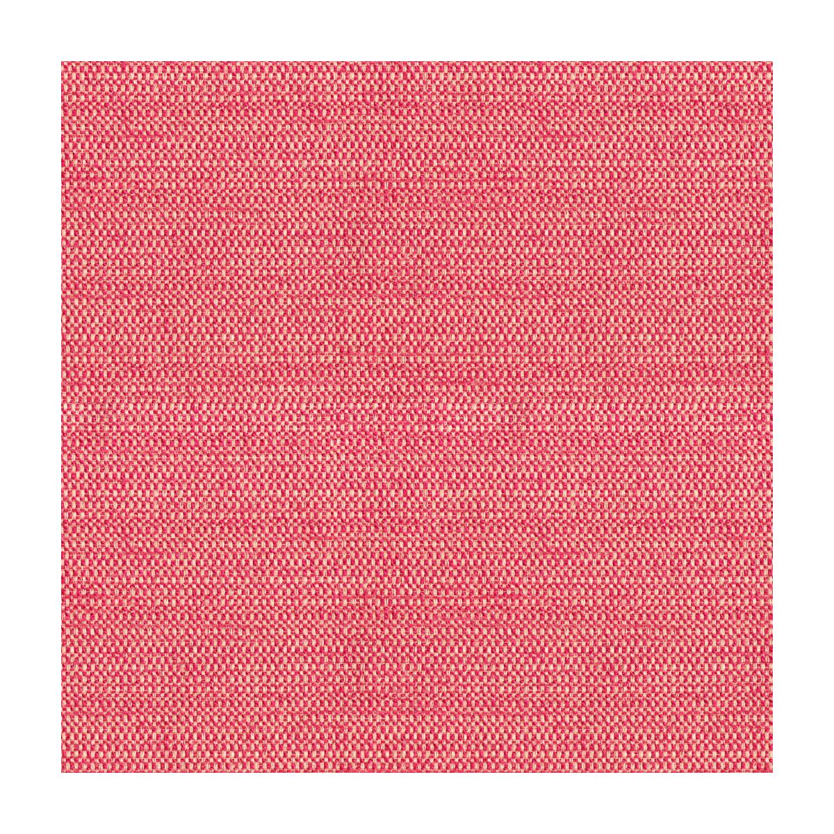 Kravet Tully Snapdragon Fabric