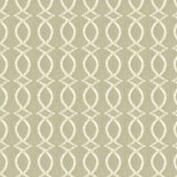 Kravet MAXIME SMOKE Drapery Fabric