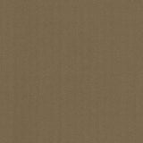 Kasmir Aventura Cocoa Fabric