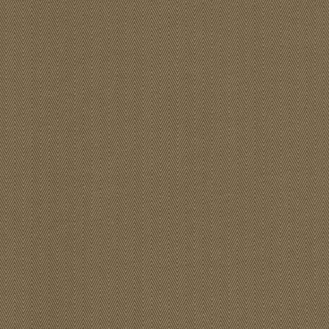 Kasmir Aventura Cocoa Fabric