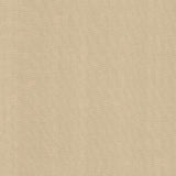 Kasmir Aventura Sand Fabric