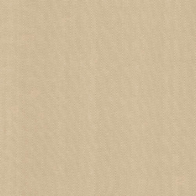 Kasmir Aventura Sand Fabric