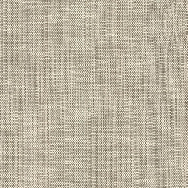 Kasmir Avino Birch Fabric