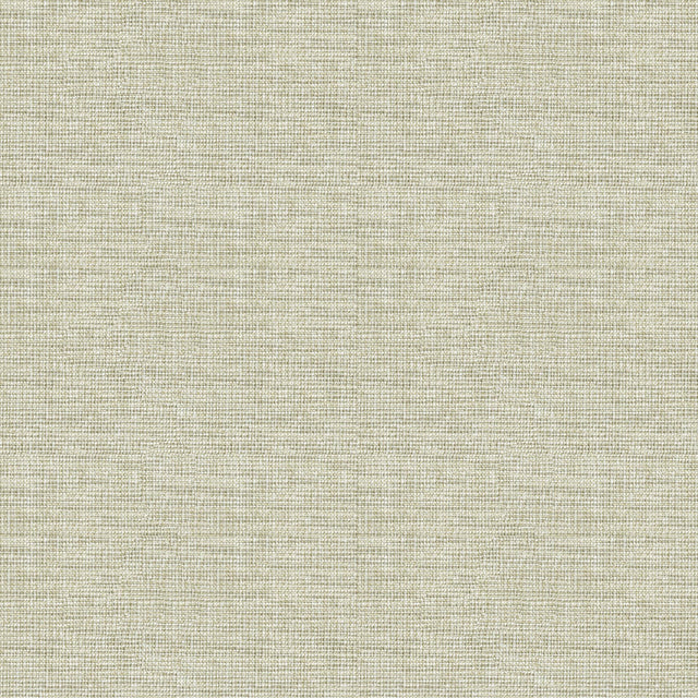 Kravet COUTURE 34825 1611 Upholstery Fabric