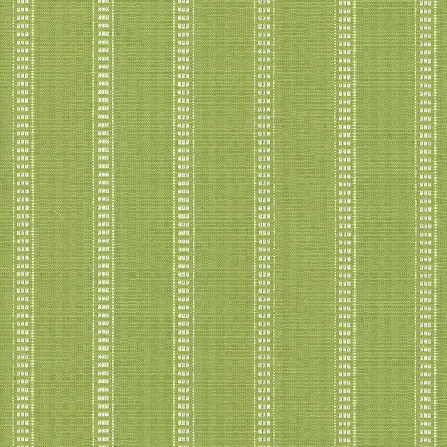Kasmir Babbo Stripe Palm Fabric