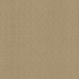Kasmir Balducci Coffee Fabric