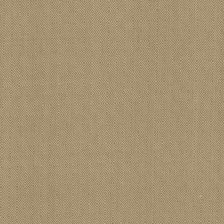Kasmir Balducci Coffee Fabric