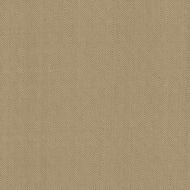 Kasmir Balducci Coffee Fabric