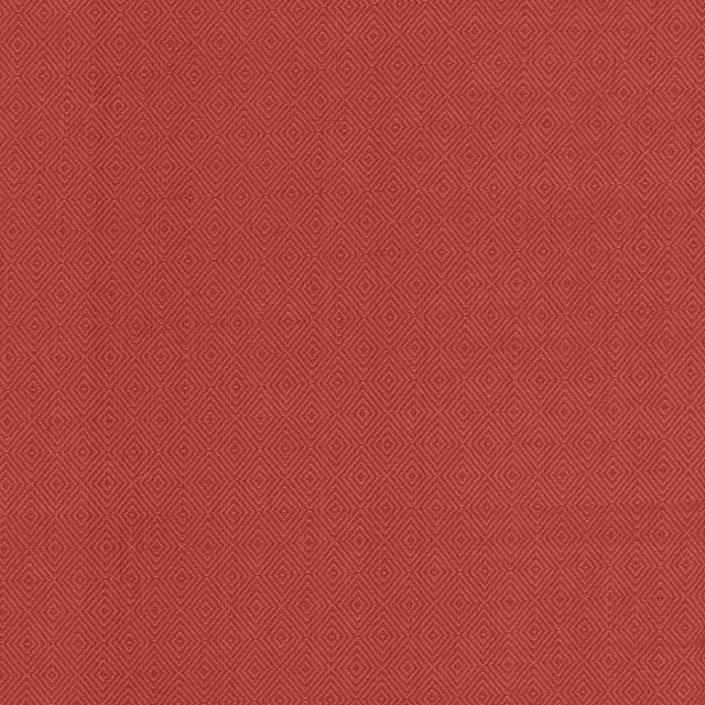 Kasmir Balducci Fire Fabric