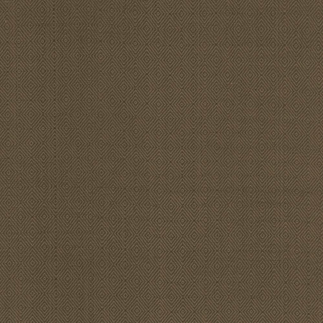 Kasmir Balducci Ranger Fabric