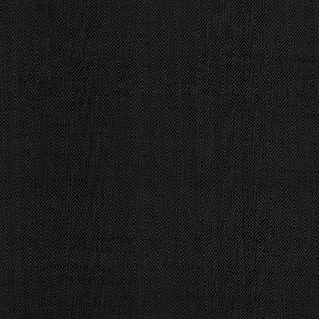 Kasmir Balducci Raven Fabric