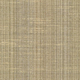 Kasmir Bansuri Chino Fabric