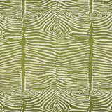 Brunschwig & Fils LE ZEBRE EMB LEAF Fabric