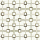 Kasmir Amulet Opal Fabric