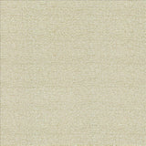 Kasmir Averly Eggshell Fabric