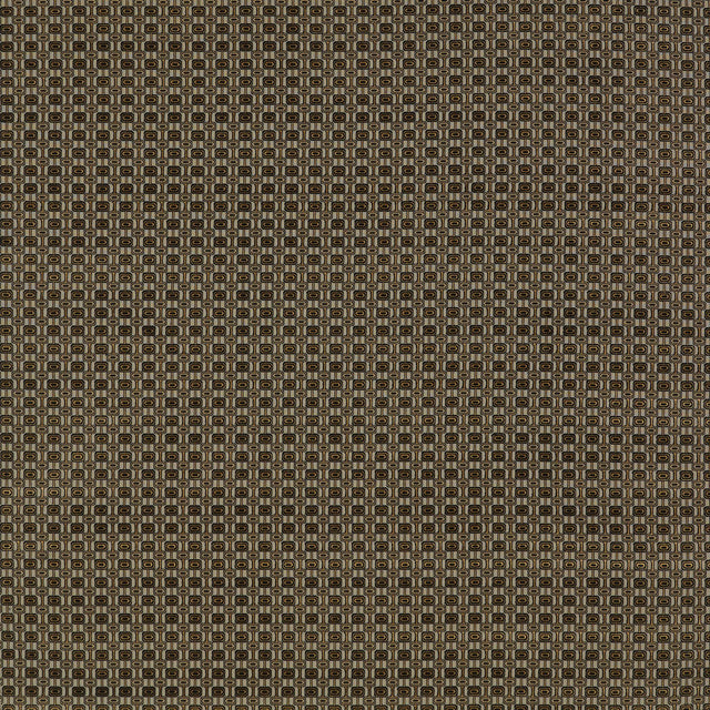 Gaston Y Daniela INES TOSTADO/ANTR Upholstery Fabric