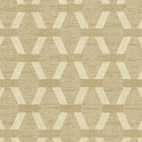 Kasmir Brice Raffia Fabric