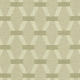 Kasmir Brice Silver Sage Fabric