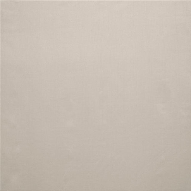 Kasmir Celine Silver Fabric