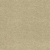 Kasmir Becker Suede Fabric
