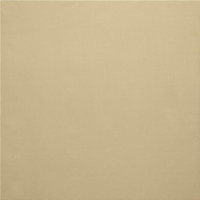 Kasmir Celine Taupe Fabric