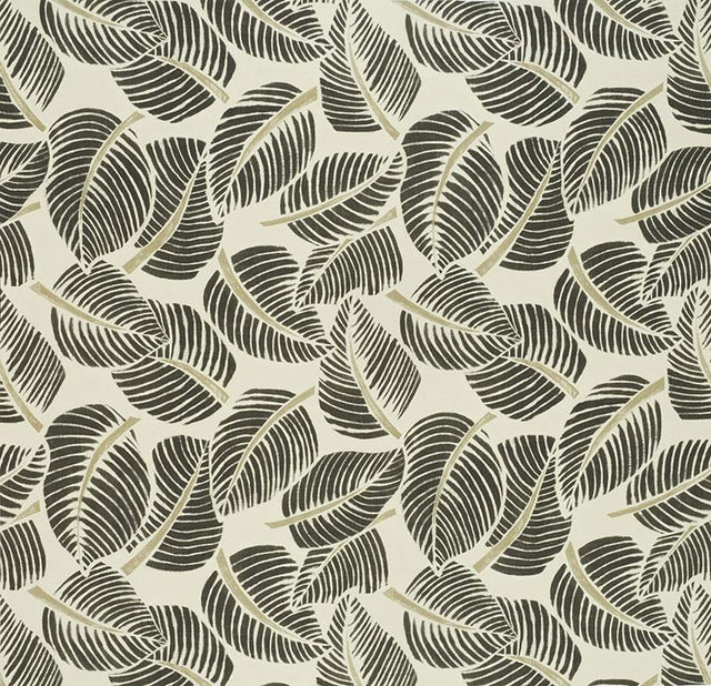 Schumacher Costa Rica Faded Black Fabric