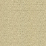 Kasmir Enchanted Moonstone Fabric