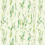 Kasmir Feathers Green Fabric