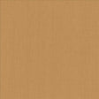 Kasmir Belgique Camel Fabric