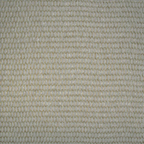 Kasmir Jonas Raffia Fabric