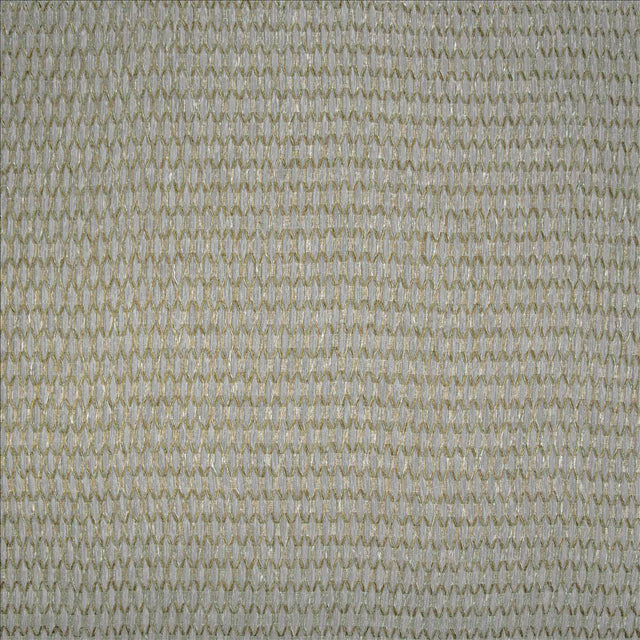 Kasmir Jonas Raffia Fabric