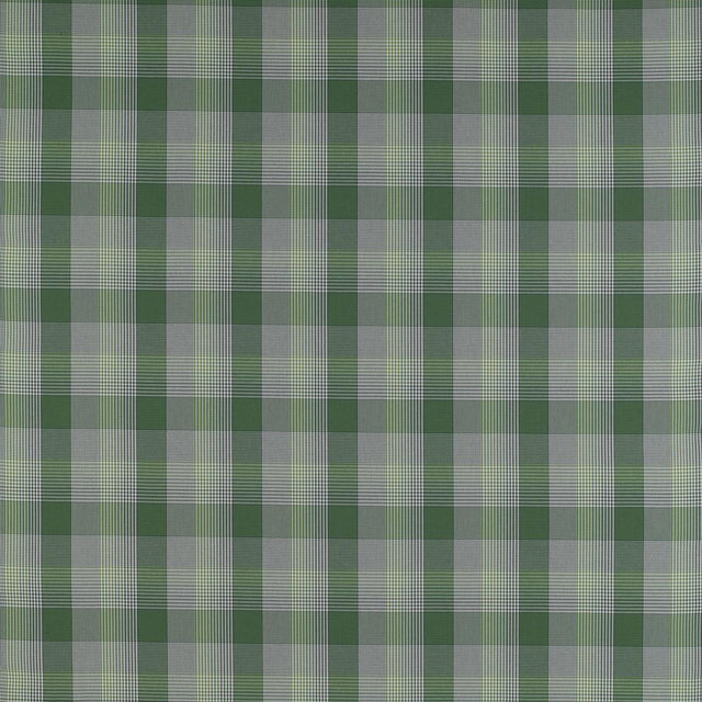 Gaston Y Daniela PRECIADOS VERDE Upholstery Fabric