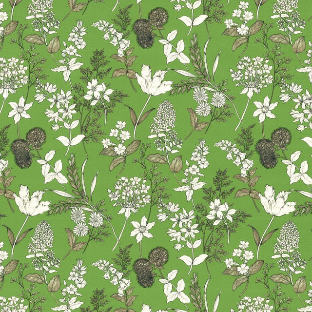 Kasmir Lily Fern Fabric