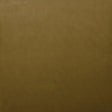 Kasmir Lyndhurst Amber Fabric