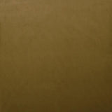 Kasmir Lyndhurst Amber Fabric