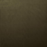 Kasmir Lyndhurst Caper Fabric