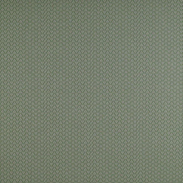 Gaston Y Daniela CHUECA VERDE Upholstery Fabric
