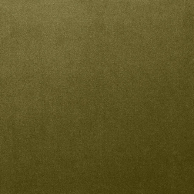 Kasmir Lyndhurst Olive Fabric