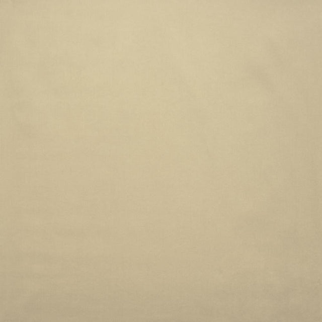 Kasmir Lyndhurst Platinum Fabric