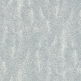 Schumacher Drizzle Dove Wallpaper